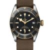 Horloges Tudor | Black Bay 41 S&G